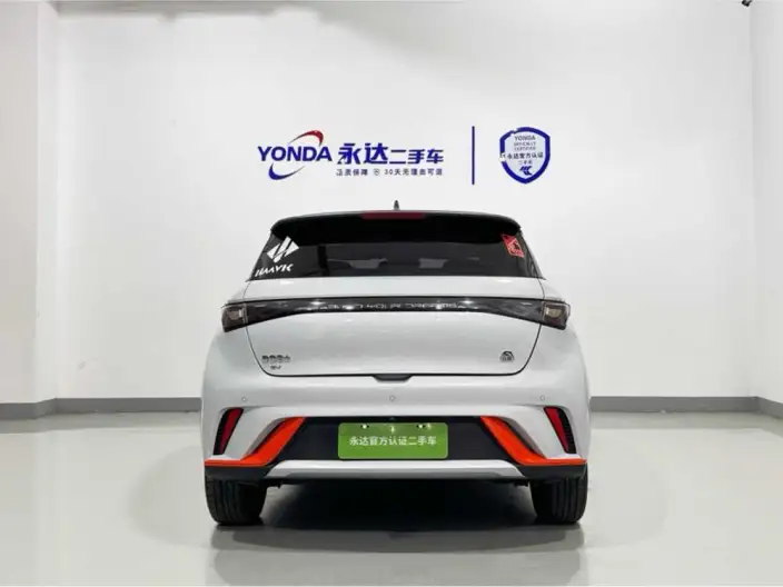 BYD Dolphin 2021 Model Fashion Edition – фото 4
