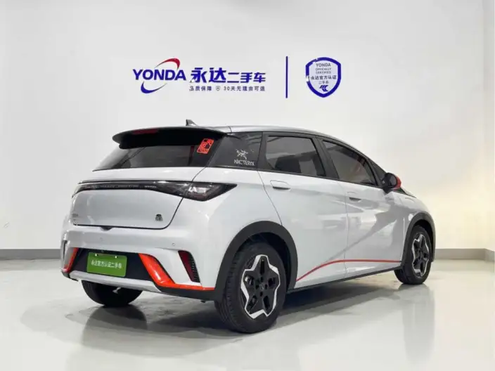 BYD Dolphin 2021 Model Fashion Edition – фото 5