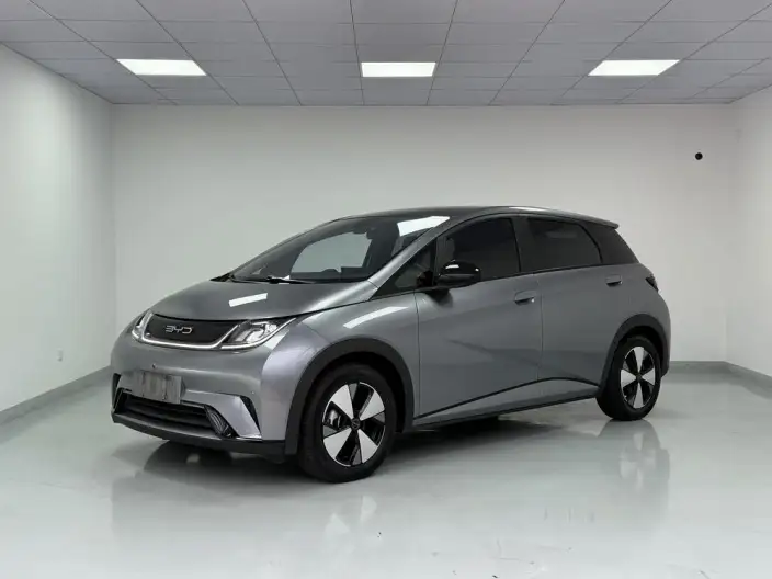 BYD Dolphin 2023 Model Fashion Edition