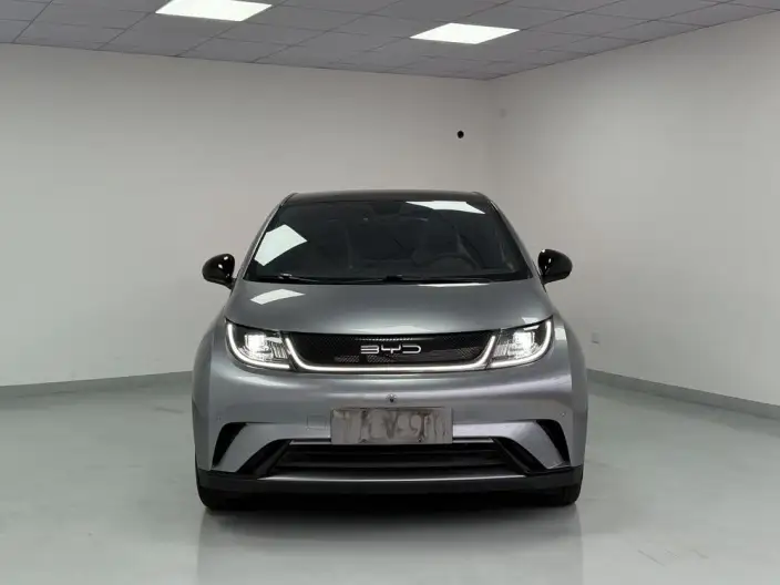 BYD Dolphin 2023 Model Fashion Edition