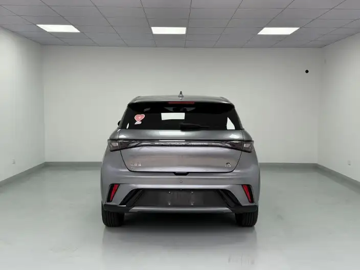 BYD Dolphin 2023 Model Fashion Edition