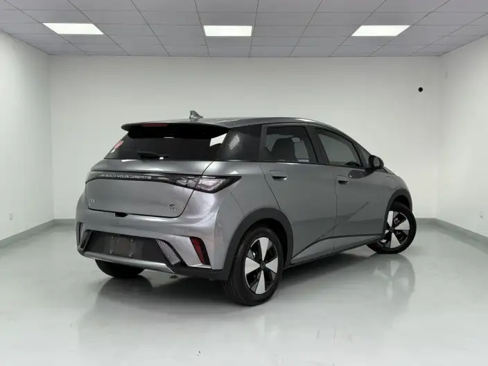 BYD Dolphin 2023 Model Fashion Edition