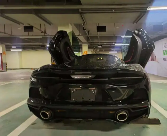 McLaren GT 2019 Model 4.0T Standard Model – фото 5