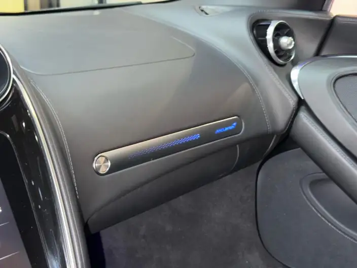 McLaren GT 2019 Model 4.0T Standard Model – фото 10