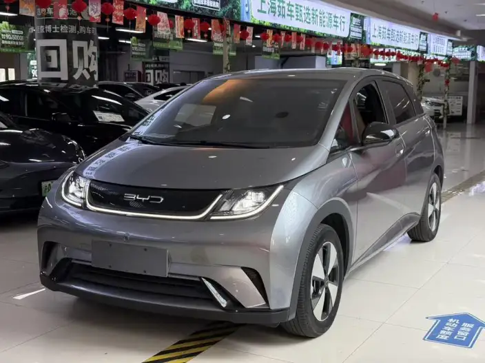 BYD Dolphin 2023 Model Free Edition