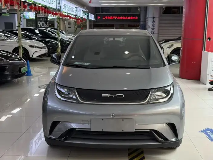 BYD Dolphin 2023 Model Free Edition