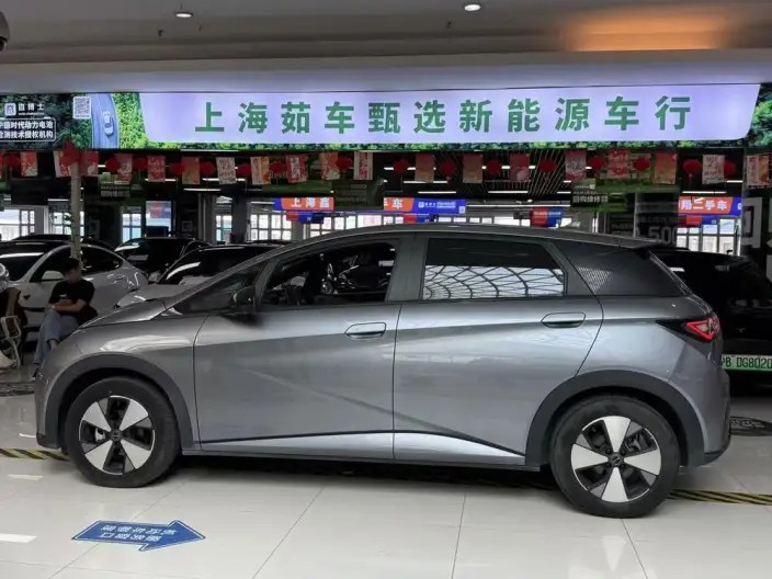 BYD Dolphin 2023 Model Free Edition