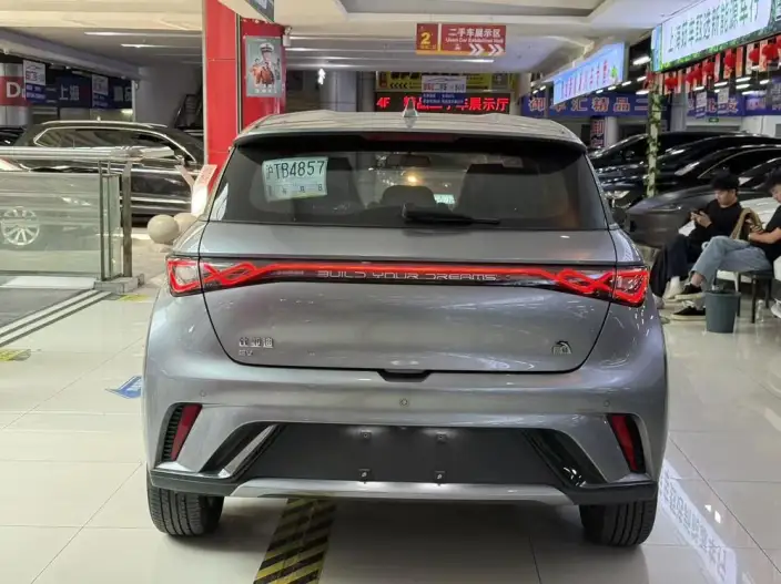 BYD Dolphin 2023 Model Free Edition
