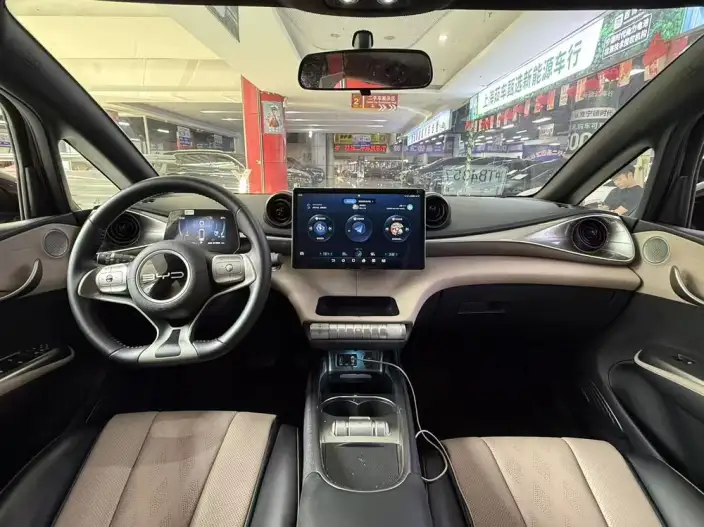 BYD Dolphin 2023 Model Free Edition – фото 6