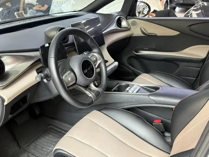 BYD Dolphin 2023 Model Free Edition – фото 8