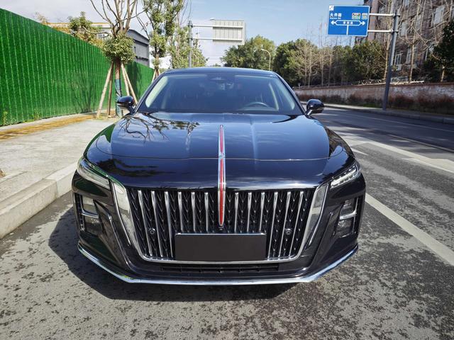 Hongqi H5 2023 2.0T Automatic Connected Qiling – фото 2