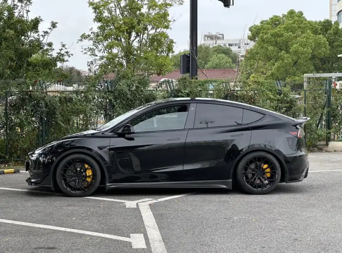 Model Y 2022 Model Performance High performance All-wheel drive version