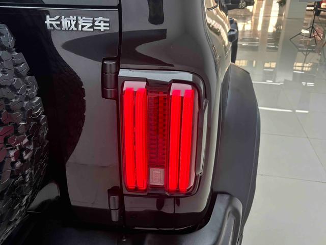 Tank 300 2023 2.0T Iron Rider 02 – фото 18