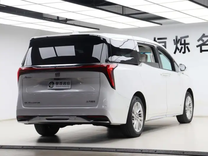 Century 2023 Model 2.0T VI seat Yunshi Edition – фото 6