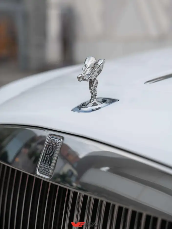 Wraith 2018 Model 6.6T Standard Model – фото 10