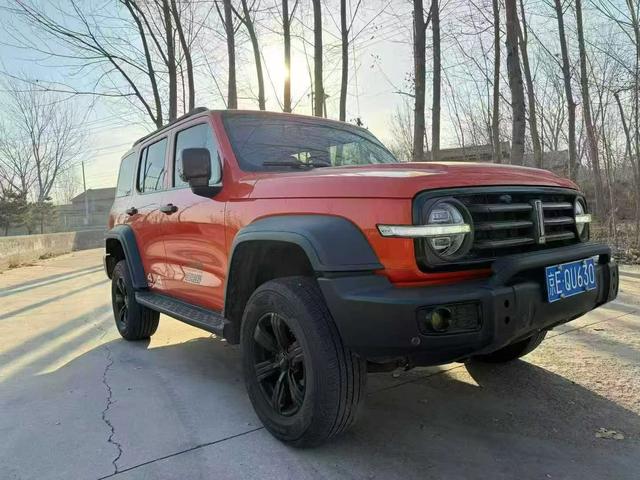 Great Wall Tank 300 2021 Off-Road 2.0T Conqueror – фото 3
