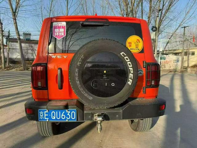 Great Wall Tank 300 2021 Off-Road 2.0T Conqueror – фото 8