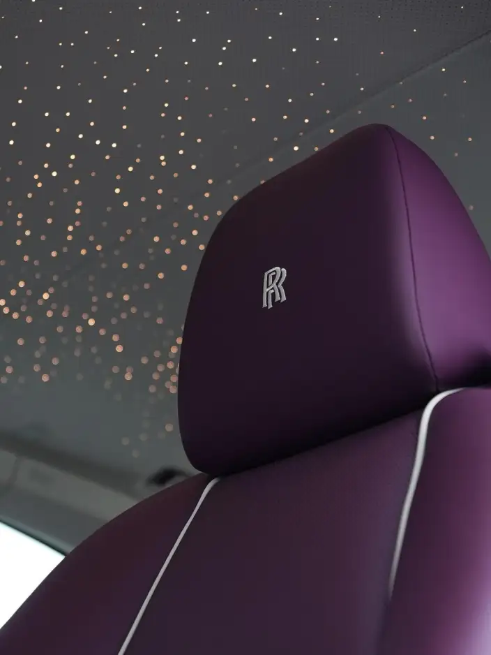 Wraith 2018 Model 6.6T Standard Model – фото 7