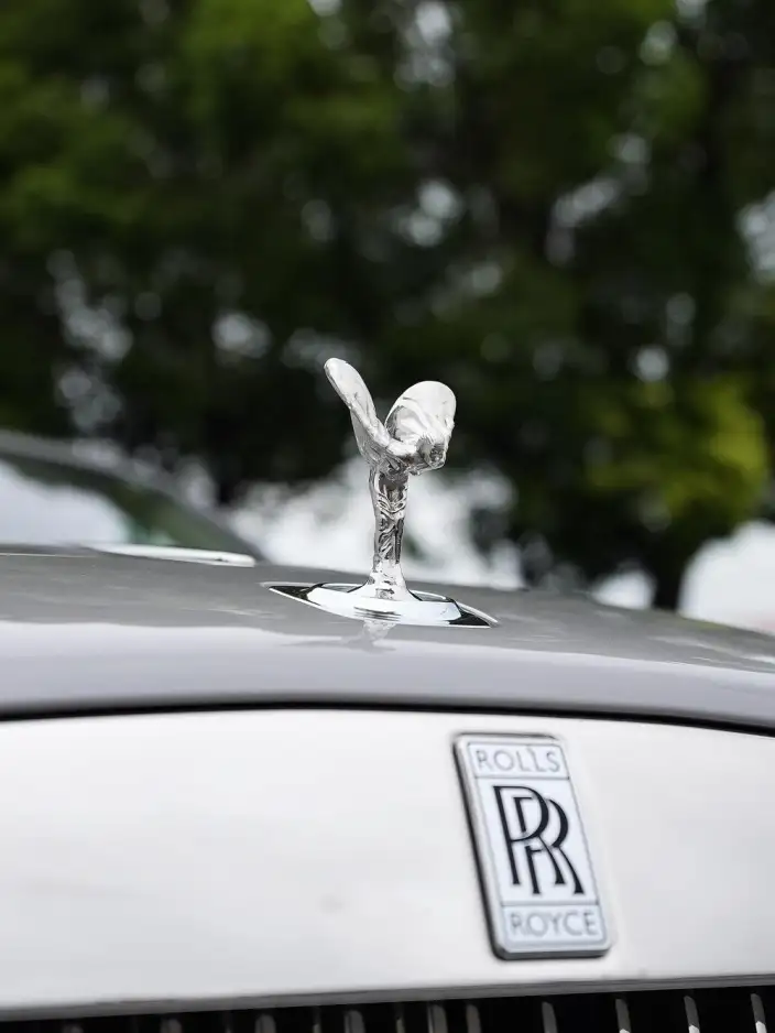 Wraith 2018 Model 6.6T Standard Model – фото 10