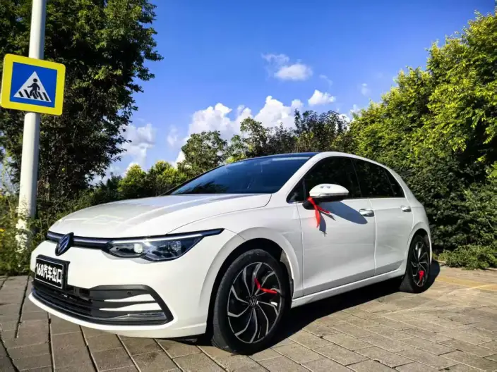 Volkswagen Golf 2021 Model 280TSI DSG Pro – фото 1