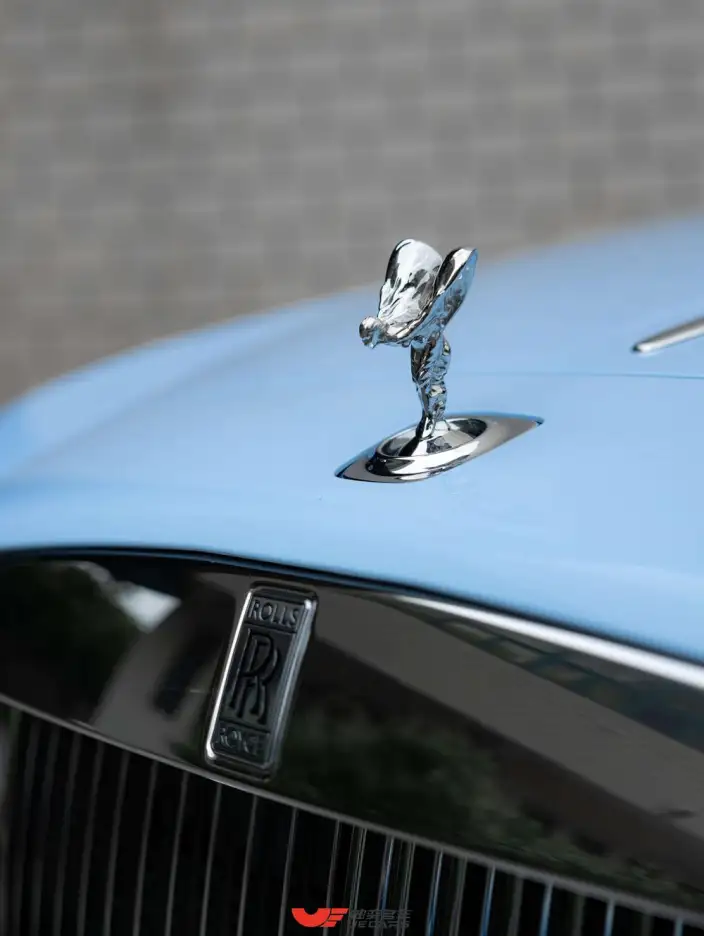 Wraith 2018 Model 6.6T Standard Model – фото 8