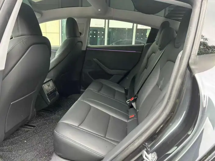 Model 3 2023 Model Long Battery Life Pro All-wheel drive version – фото 9