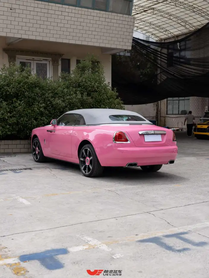 Black Badge 2018 Model 6.6T Standard Model – фото 5