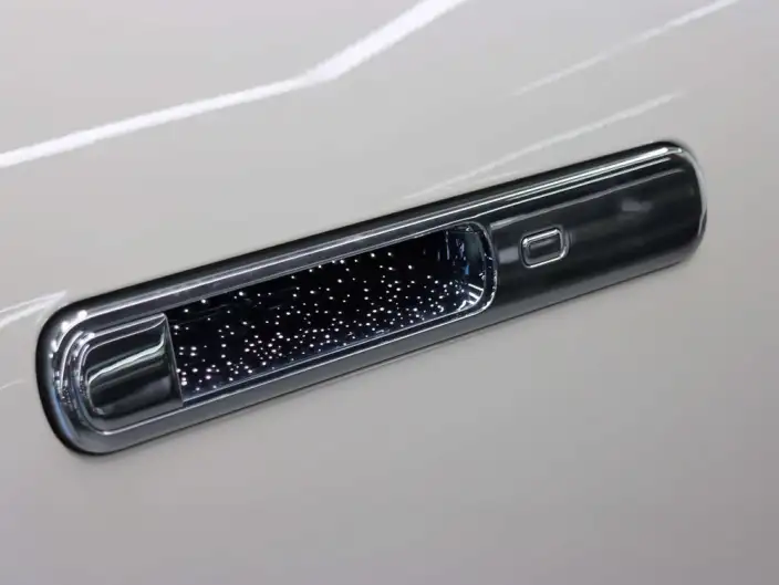 Zunjie S800 2025 Model Extended Range Starlight Executive Edition 4 seat – фото 5