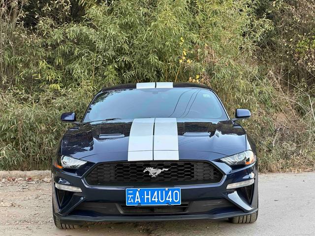 Mustang Модель 2018 года 2.3T автоматическое Rear Drive 4 seat параллельный импорт Imported – фото 2