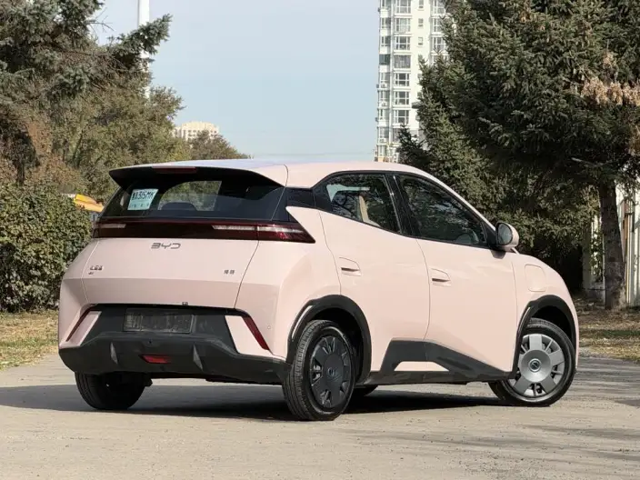 BYD Seagull 2024 Model Honor Edition 305KM Vitality Edition – фото 6