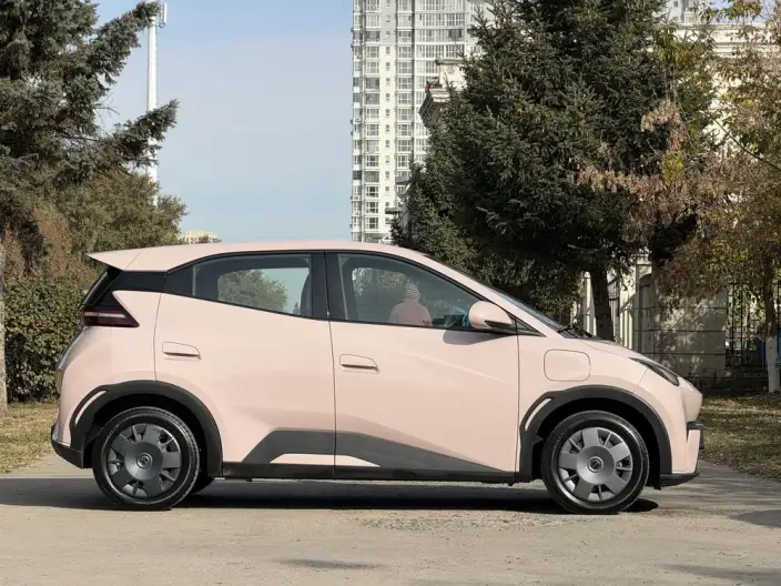 BYD Seagull 2024 Model Honor Edition 305KM Vitality Edition – фото 7