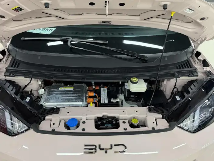 BYD Seagull 2024 Model Honor Edition 305KM Vitality Edition – фото 8