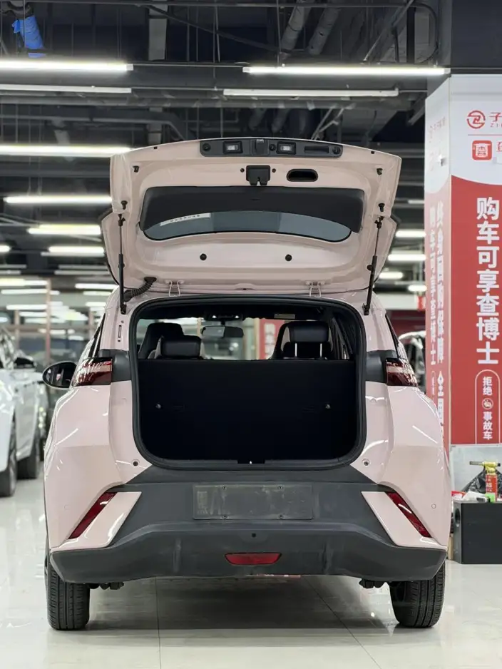 BYD Seagull 2024 Model Honor Edition 305KM Vitality Edition – фото 9