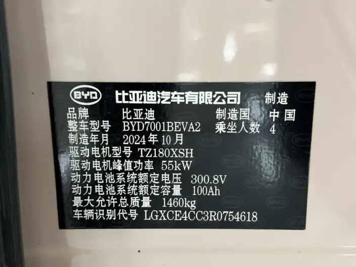 BYD Seagull 2024 Model Honor Edition 305KM Vitality Edition – фото 10