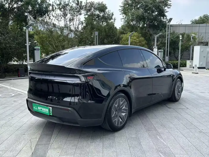 Model Y L 2026 Model Standard Edition – фото 6