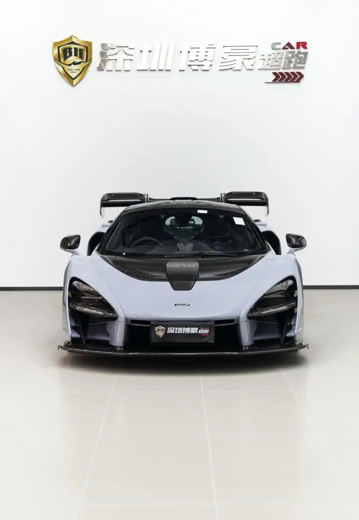 McLaren Senna 2018 Model 4.0T Standard Model – фото 2