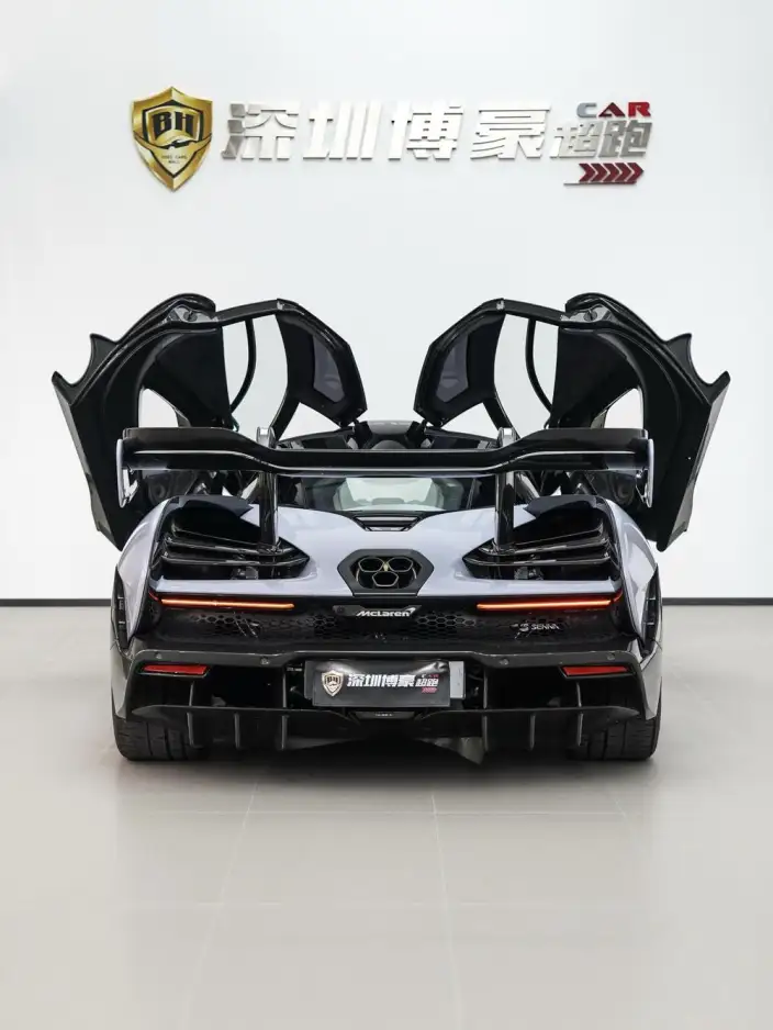 McLaren Senna 2018 Model 4.0T Standard Model – фото 7