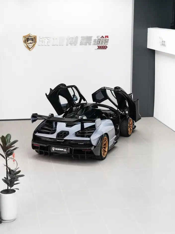 McLaren Senna 2018 Model 4.0T Standard Model – фото 10