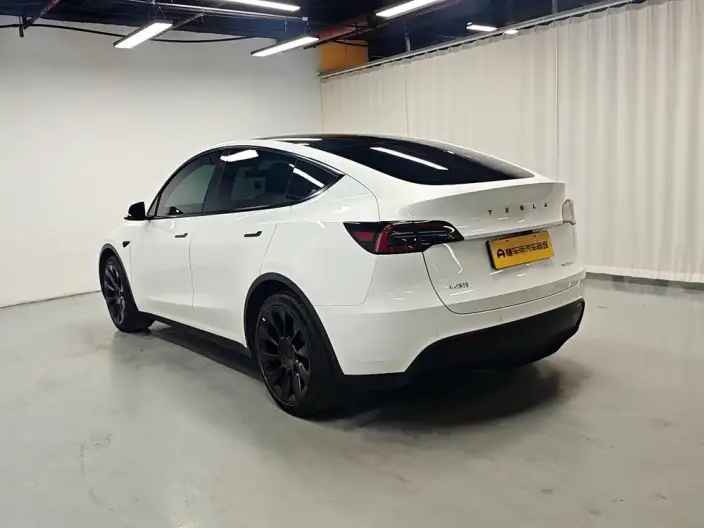 Model Y 2022 Model Facelift Rear-wheel drive version – фото 5