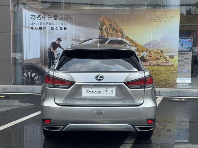 Lexus RX Модель 2020 года 300 4WD Elegant Edition Country VI – фото 5