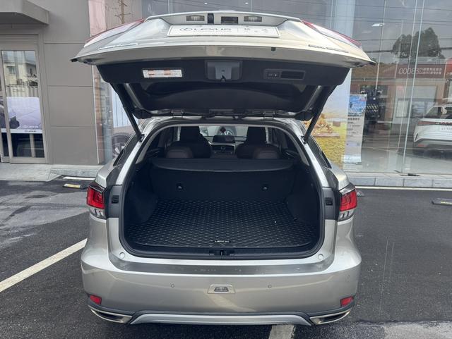 Lexus RX Модель 2020 года 300 4WD Elegant Edition Country VI – фото 7