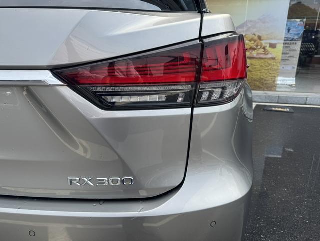 Lexus RX Модель 2020 года 300 4WD Elegant Edition Country VI – фото 8
