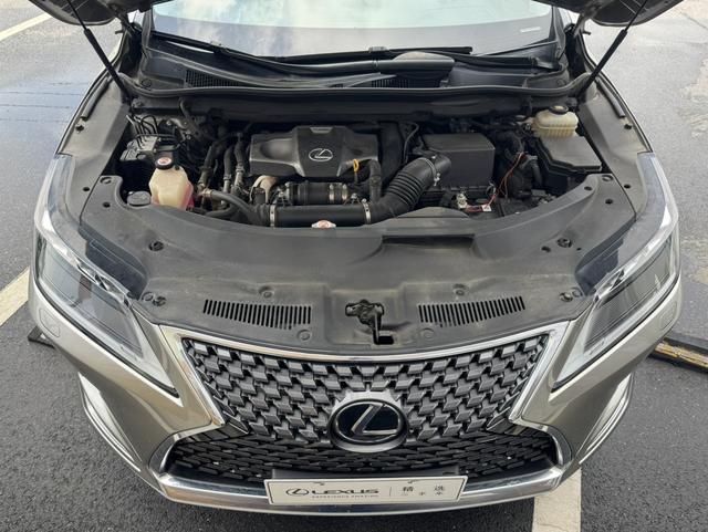 Lexus RX Модель 2020 года 300 4WD Elegant Edition Country VI – фото 10