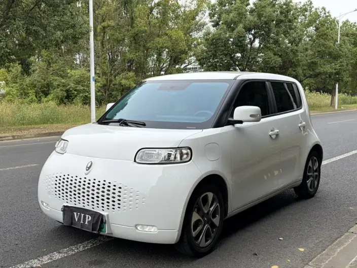ORA White Cat 2022 Model L Class Edition 305km Luxury Model Ternary lithium