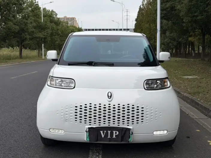ORA White Cat 2022 Model L Class Edition 305km Luxury Model Ternary lithium