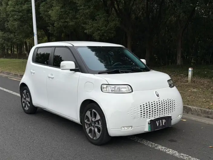 ORA White Cat 2022 Model L Class Edition 305km Luxury Model Ternary lithium
