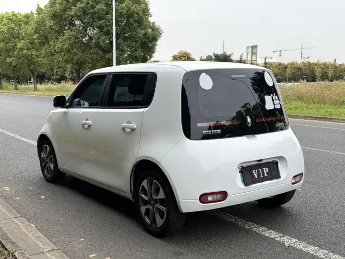 ORA White Cat 2022 Model L Class Edition 305km Luxury Model Ternary lithium