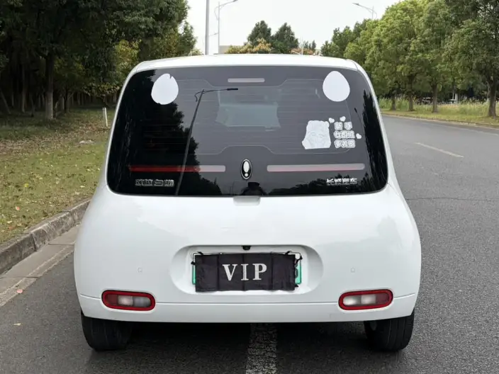 ORA White Cat 2022 Model L Class Edition 305km Luxury Model Ternary lithium – фото 5
