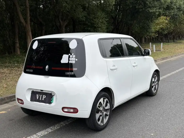 ORA White Cat 2022 Model L Class Edition 305km Luxury Model Ternary lithium – фото 6
