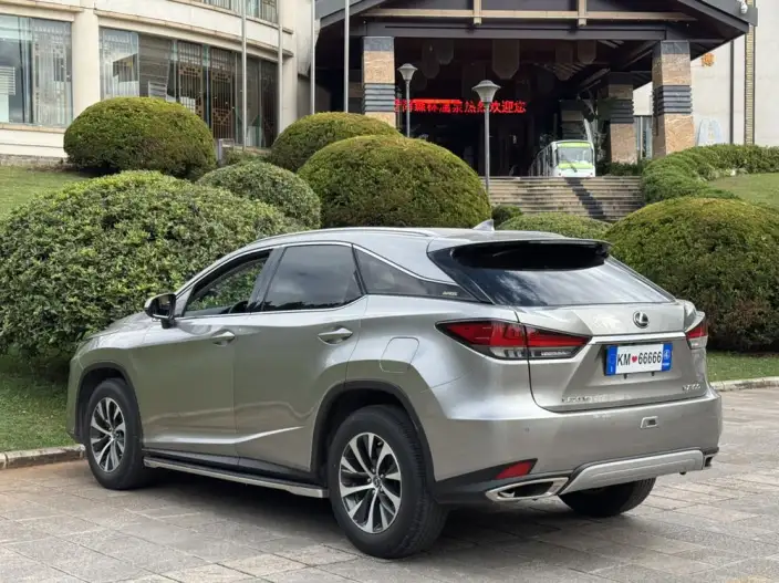 Lexus RX 2020 Model Facelift 300 2WD Elite Edition – фото 5